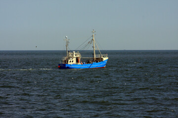 Nordseekrabben werden gerne gegessen.  Nordsee, Schleswig-Holstein, Deutschland, Europa
North Sea crabs are a popular dish North Sea, Schleswig-Holstein, Germany, Europe