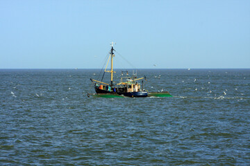 Nordseekrabben werden gerne gegessen.  Nordsee, Schleswig-Holstein, Deutschland, Europa
North Sea...