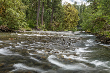 USA, Washington State, Olympic National Park. Skokomish River rapids.