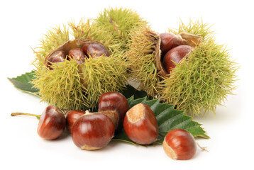 Fresh chestnut with leaf on white background.