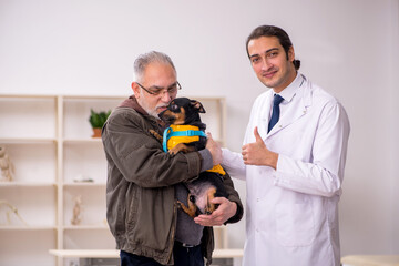 Young male doctor vet examining dog in the clinic