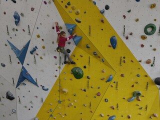 Hübsche, nette, freudliche Jungen und Mädchen beim Klettern, Bouldern. Die Kinder, 8 bis 12 Jahre...