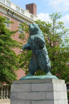 Brown Bear Statue stands since 1923 in Brown University, Providence, Rhode Island RI, USA.
