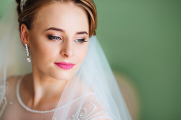 Beautiful portrait of bride with wedding makeup hairstyle, gorgeous young woman in white dress at...