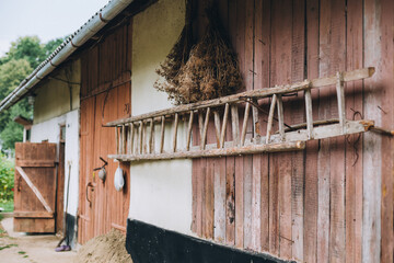 a barn in the village, brown in color on a puffy day. The wood ladder and the dry grass hang on the...