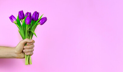 man holds a bouquet of purple tulips. Greeting card for Mother's or Valentine's Day. Copy space for text