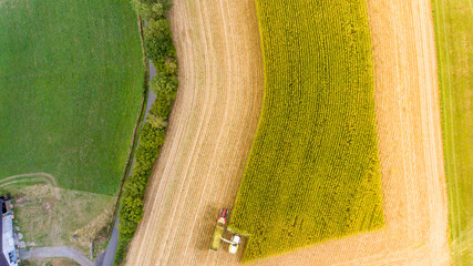 Traktor mit Maishäcksler auf Feld bei Maisernte Arbeit