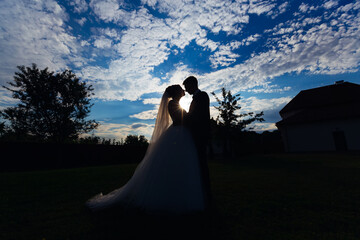 Silhouettes of the bride and groom, hugs and kisses in the meadow, against the backdrop of the beautiful sky and sunset