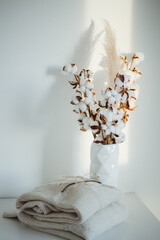 Branches of cotton and pampas grass in a white vase on a white wall background. Warm woolen winter pullovers. Beige and brown. Minimalistic composition.