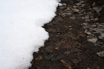 Spring. Thawed snow. Loose melting snow and nearby thawed earth with last year's grass, foliage and new sprouts breaking through.