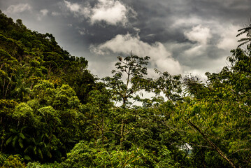natureza com céu lindo  após a chuva
