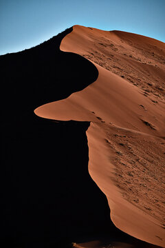 Sand Dune Profile In Contrast In Namib Desert Africa