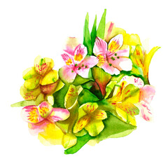 Spring alstroemeria bouquet watercolor drawn 