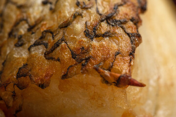 Wild grilled sea bass fillet with skin close up macro