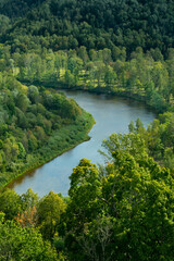 Fototapeta na wymiar Green forest and river.
