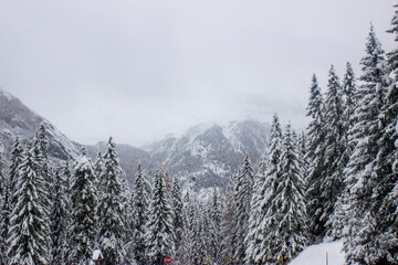 Paisaje de montaña en estacion de invierrno. Con mucha nieve