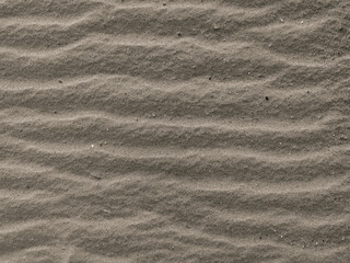 Close-up of sand on the beach, with grains of seashells. Close-up view of the beach river sand....