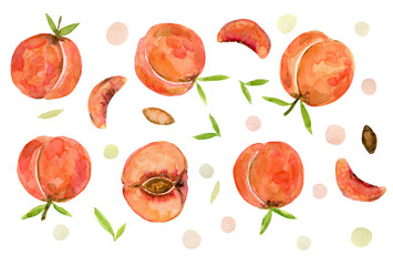 Set of bright watercolor peaches illustration