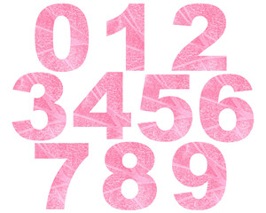 Watercolor pink numbers from 0 to 9
