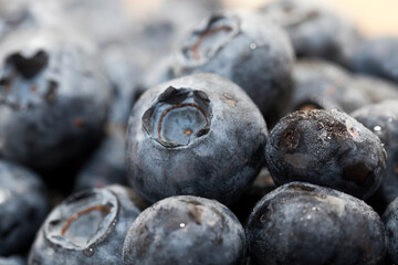 fresh blueberries can be eaten raw