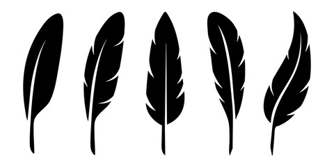 Bird Feather black silhouettes. Plumelet collection. Vector isolated on white