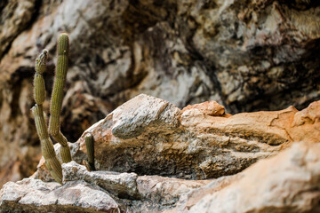 rock on the rocks