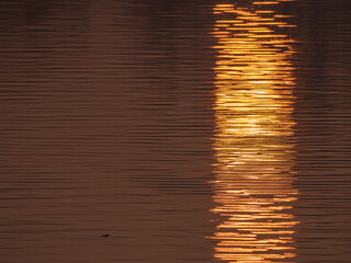 goldene Reflektionen der aufgehenden Sonne auf einem See
