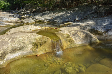 stream in the southern forest, mountain stream