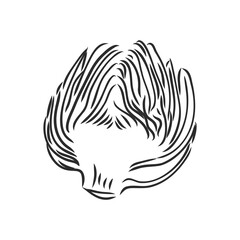 vector set of engraving illustration green vegetables artichoke on white background