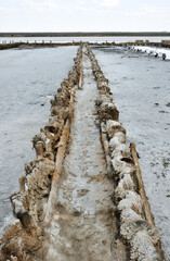 Fototapeta premium Stunning, white salt desert or salt lake. remains of a wooden building in a salt lake. dried up salt lake, salt-eaten building, rotten wooden building