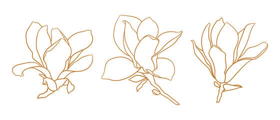 Set of magnolia flowers, thin line drawing on white background. Floral vector sketch in gold color, trendy style. Minimalist art. Illustration for wedding invitation, greeting card, coloring book. © Vodoleyka
