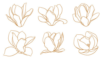 Set of magnolia flowers, thin line drawing on white background. Floral vector sketch in gold color, trendy style. Minimalist art. Illustration for wedding invitation, greeting card, coloring book. © Vodoleyka