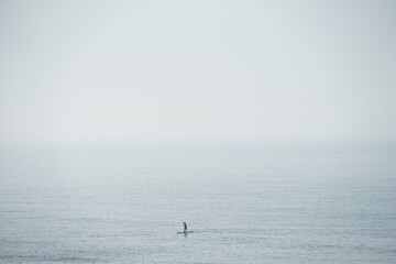 stand up paddler on ocean on foggy day