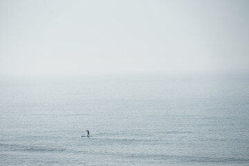 stand up paddler on ocean on foggy day