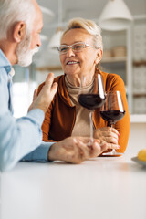 Loving senior couple communicating while drinking wine at home