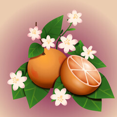 Owoce pomarańczy na gałązce z kwiatami i liśćmi. Botaniczna kompozycja egzotycznych owoców.