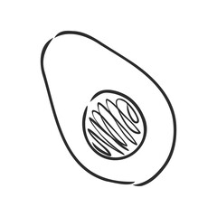 Avocado. Contour illustration. Exotic fruit in woodcut style. Isolated vector on white background.