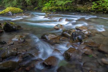 USA, Washington State, Olympic National Park. Dungeness River rapids.