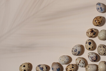 Border of Quail eggs on beige background with palm leaf shadow.