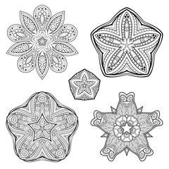 Vector Monochrome Set of Stars. Abstract Objects Isolated On White Background. Ethnic Decorative Element