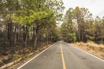 Highway at sunset in an ocher winter landscape, classic of Mexico.