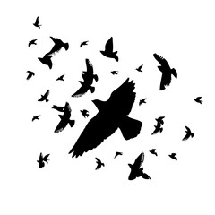 A flock of flying birds. Vector illustration