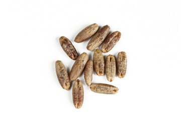 Group of date seeds isolated on white background