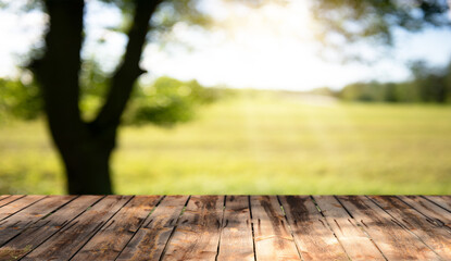 Empty wooden table background with fresh morning view