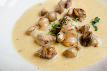 Fried rapana meat in cream sauce