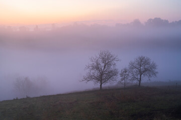 Fototapeta na wymiar morning mist in the forest
