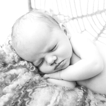 Newborn baby sleep in dream catcher. Time to sleep for infant. Softness bed. Black and white picture