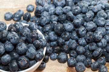 harvested fresh and tasty blueberries