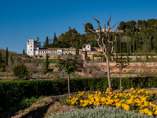 Fototapeta premium Generalife, Alhambra Park, Granada, Spain