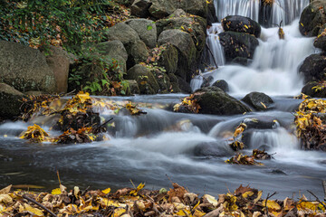 Kaskada w Parku Oliwskim © marekcygan